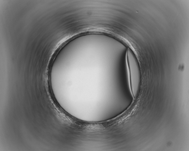 X0000094921133200712201214