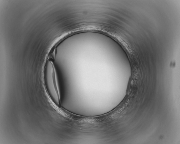 X0000094921134200712201214