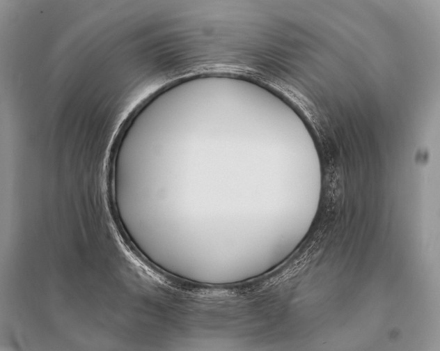 X0000094921135200712201214