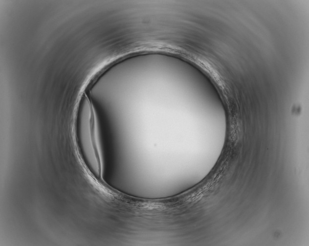 X0000094921136200712201214