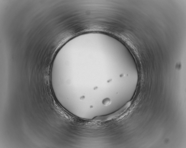 X0000094921137200712201214