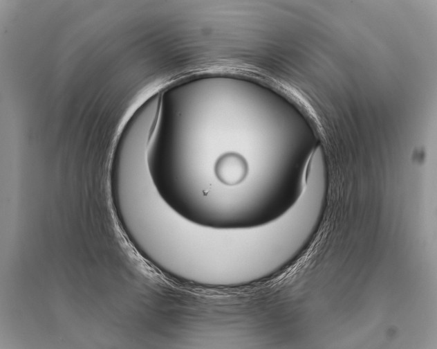 X0000094921138200712201214