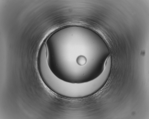 X0000094921139200712201214