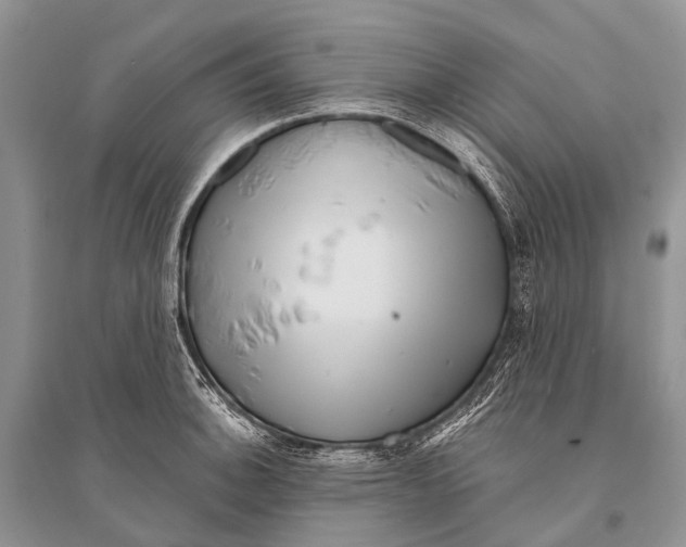 X0000094921140200712201214