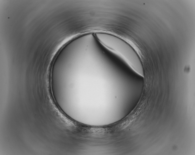 X0000094921142200712201214