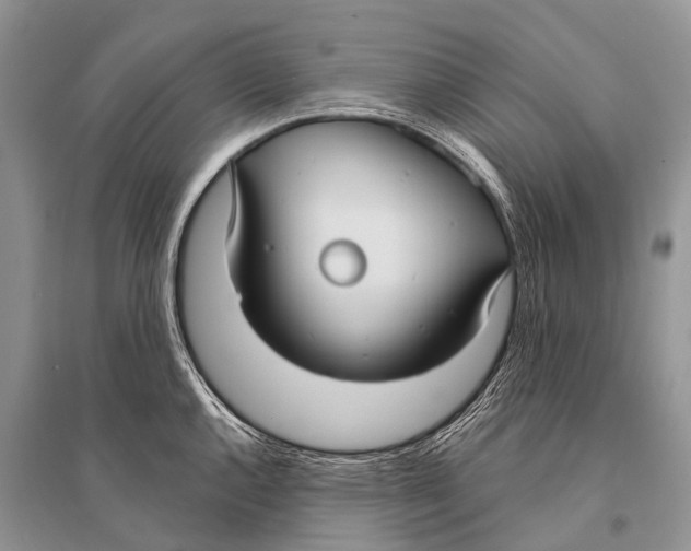 X0000094921144200712201214