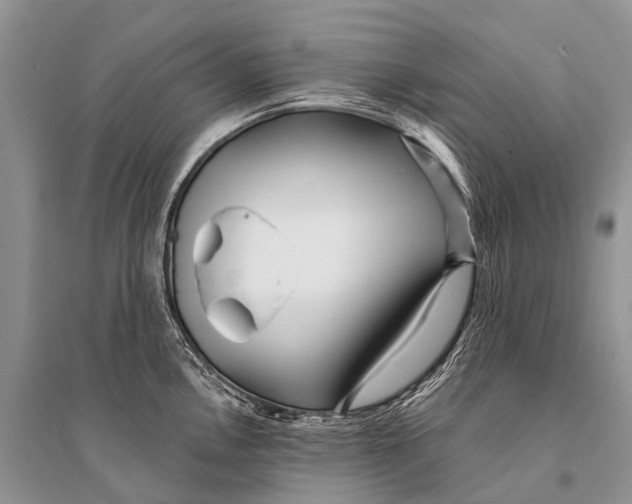 X0000094921146200712201214