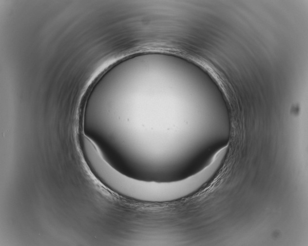 X0000094921147200712201214