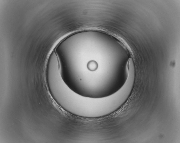 X0000094921148200712201214