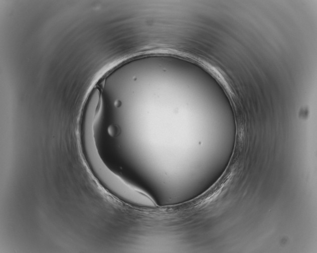 X0000094921149200712201214