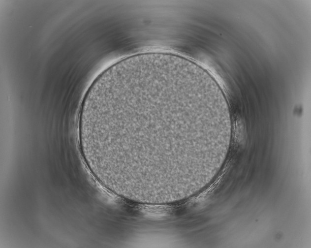 X0000094921150200712201214