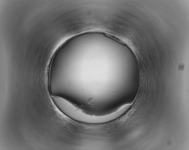 X0000094921151200712201214