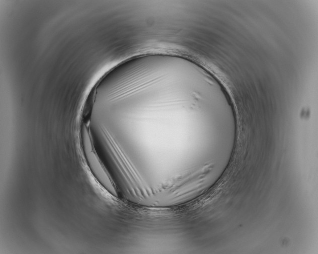 X0000094921152200712201214