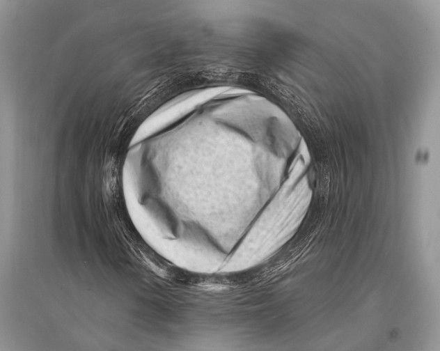 X0000094921154200712201213