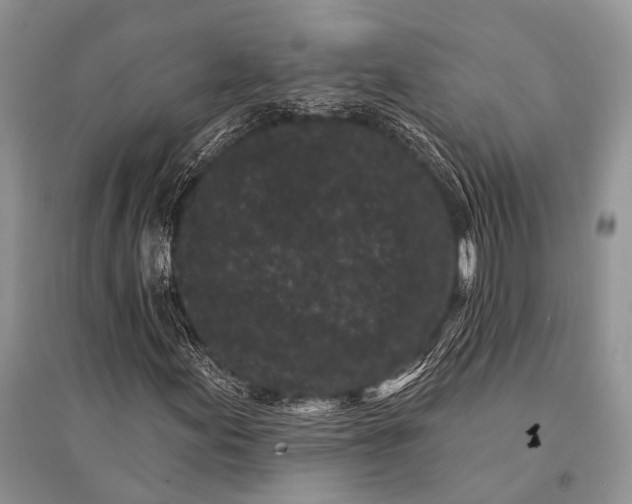 X0000094921155200712201213