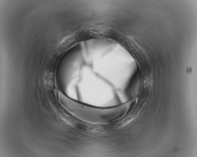 X0000094921156200712201213