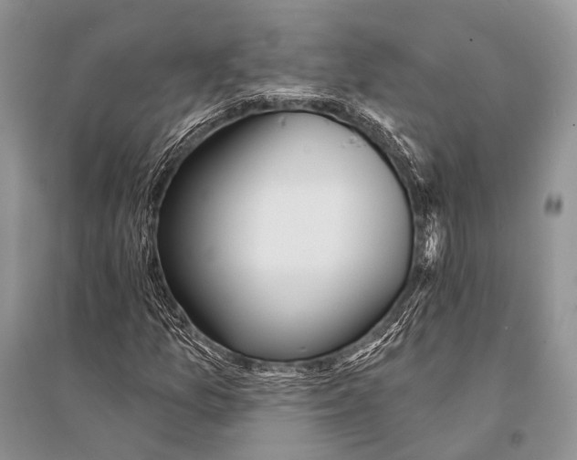 X0000094921157200712201213