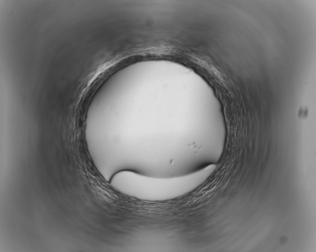 X0000094921160200712201213