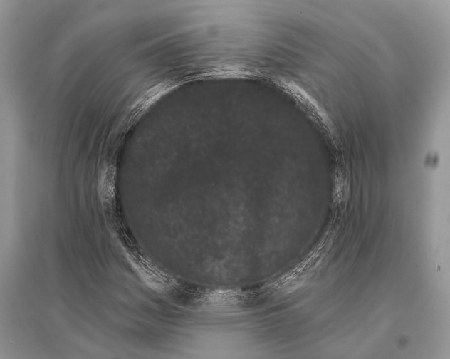 X0000094921161200712201213