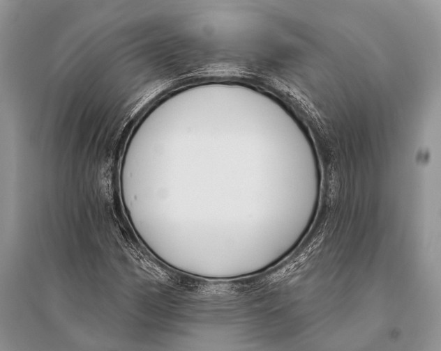 X0000094921162200712201213