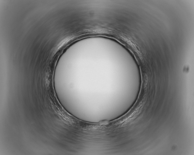 X0000094921163200712201213