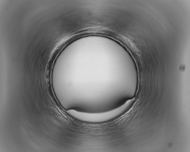 X0000094921164200712201213