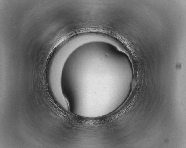 X0000094921165200712201213