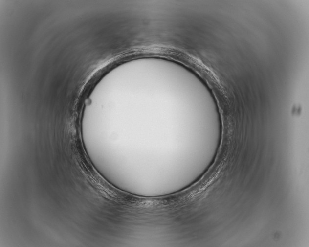 X0000094921166200712201213