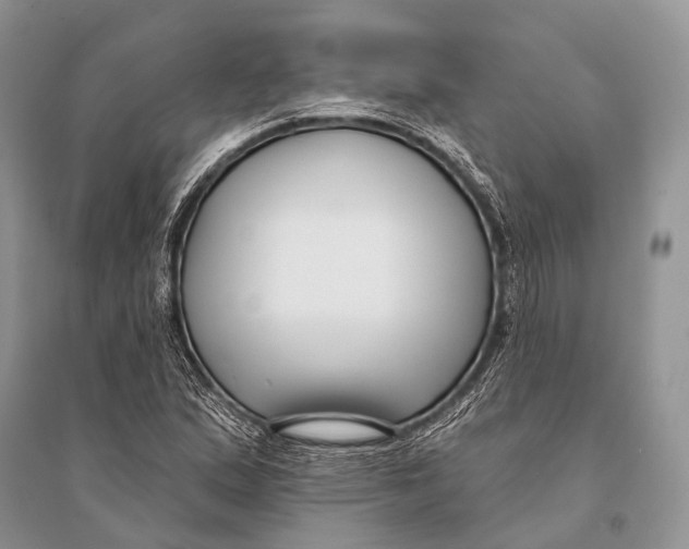 X0000094921167200712201213