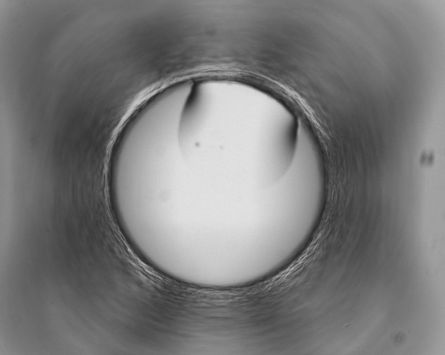 X0000094921168200712201213