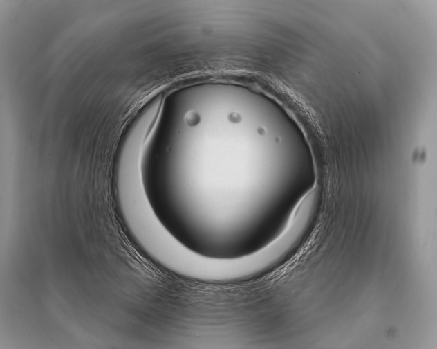 X0000094921169200712201213