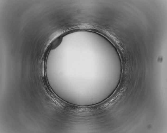 X0000094921171200712201213