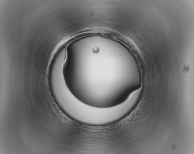 X0000094921172200712201213