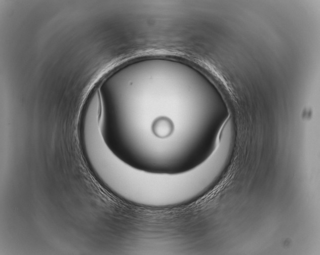 X0000094921173200712201213