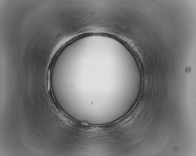 X0000094921175200712201213