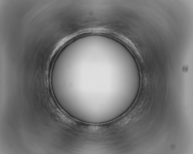 X0000094921176200712201213