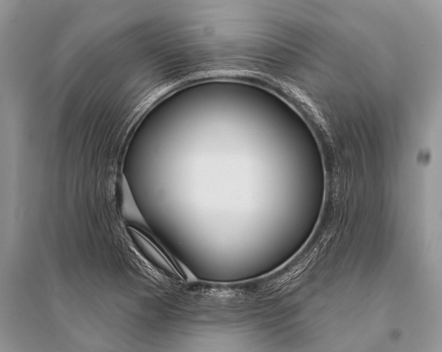 X0000094921177200712201213