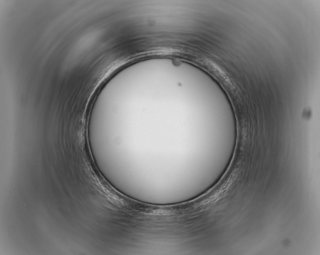 X0000094921178200712201213