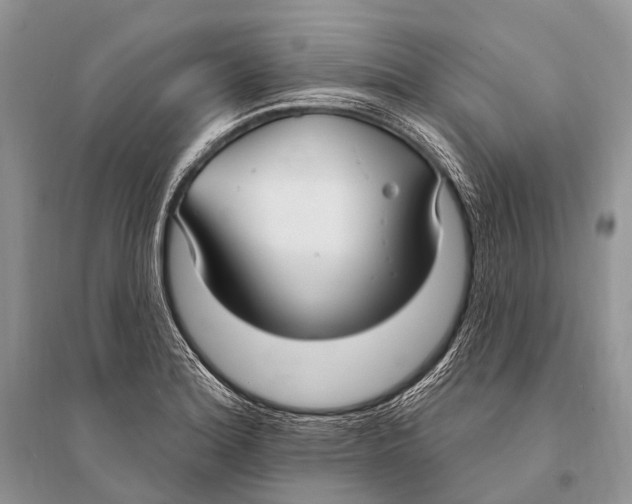 X0000094921180200712201213