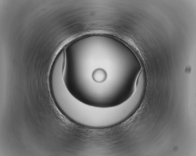 X0000094921181200712201213