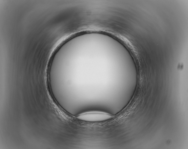 X0000094921183200712201213