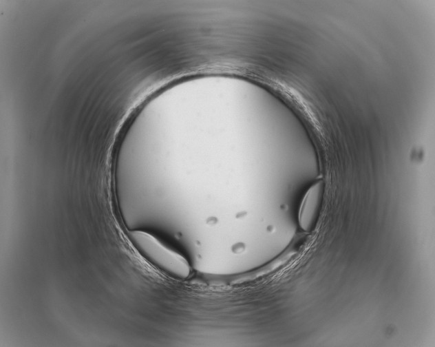 X0000094921184200712201213