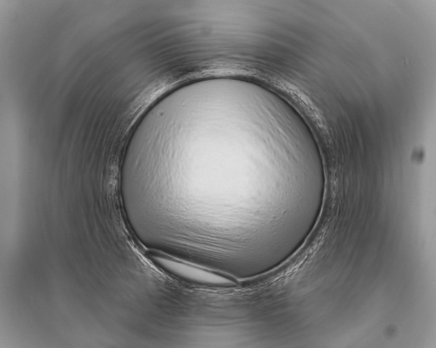 X0000094921185200712201213