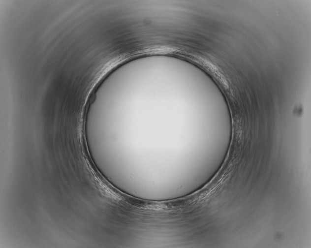 X0000094921186200712201213