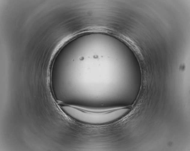 X0000094921188200712201213