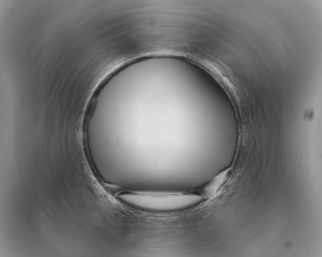 X0000094921189200712201213