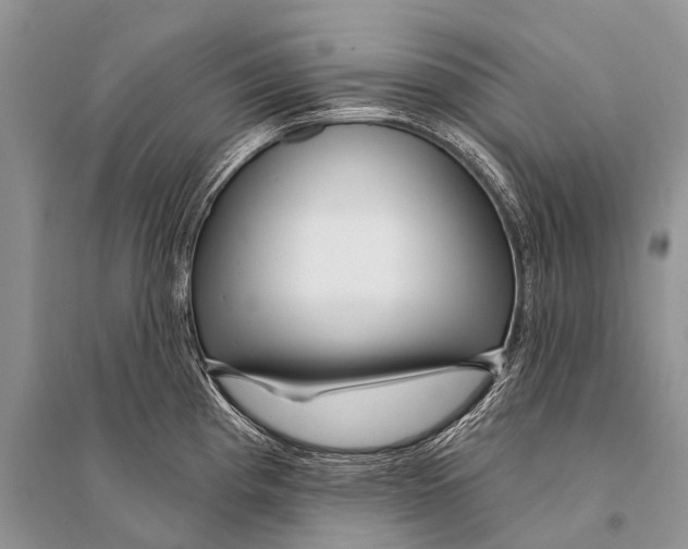 X0000094921193200712201213