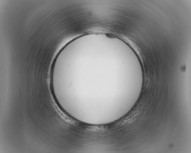 X0000094921195200712201213