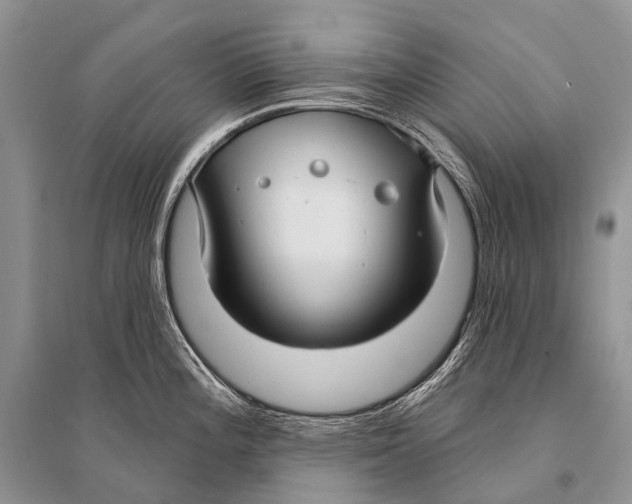 X0000094921196200712201213