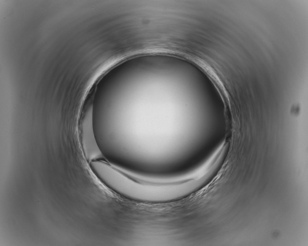 X0000094921197200712201213